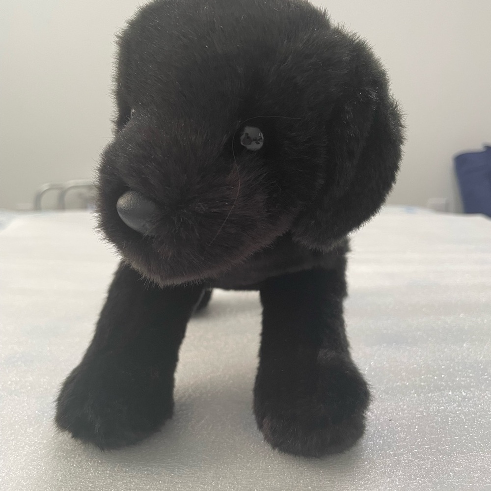 Charming Black Plush Dog Toy
